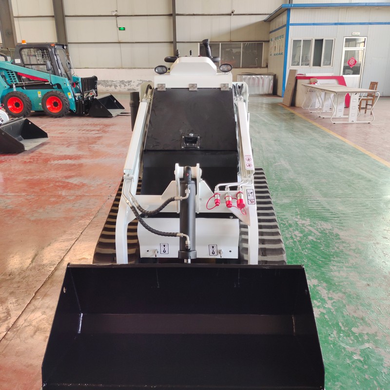 Loader Skid Steer Beroda