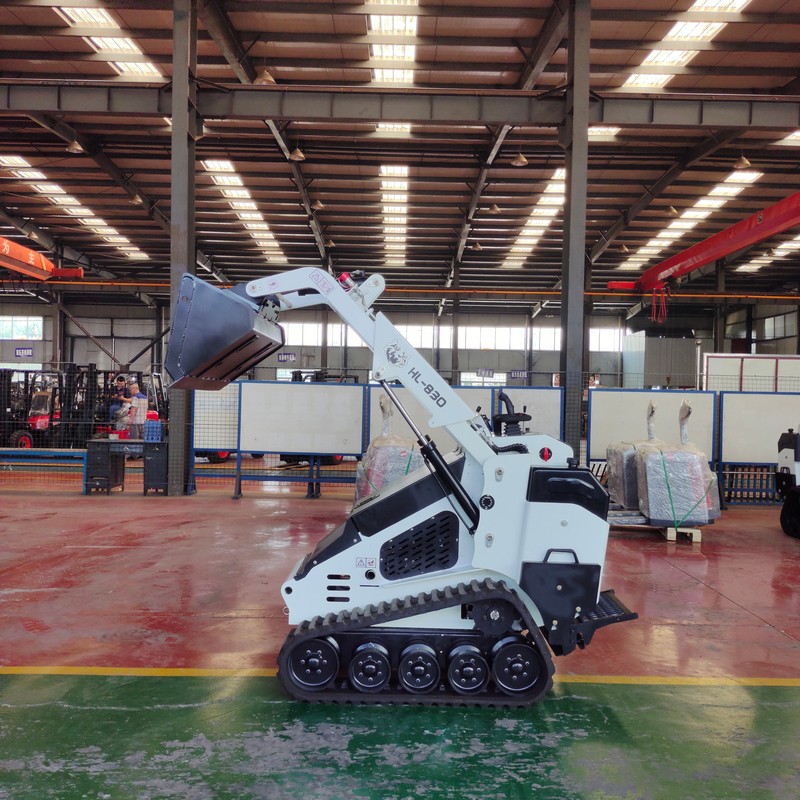 Loader Skid Steer Beroda