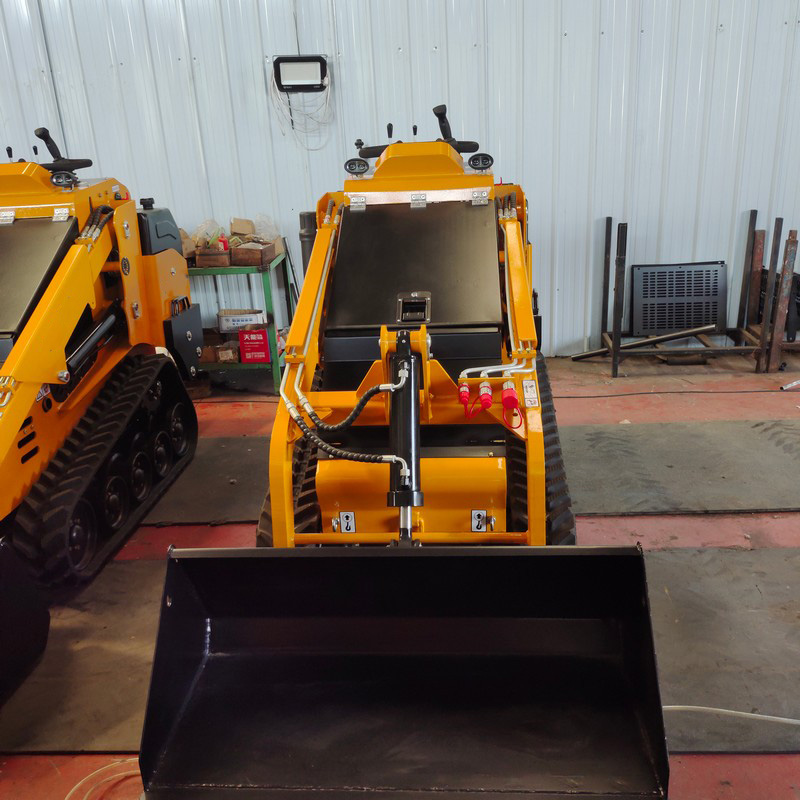 Skid Steer Loader Beroda