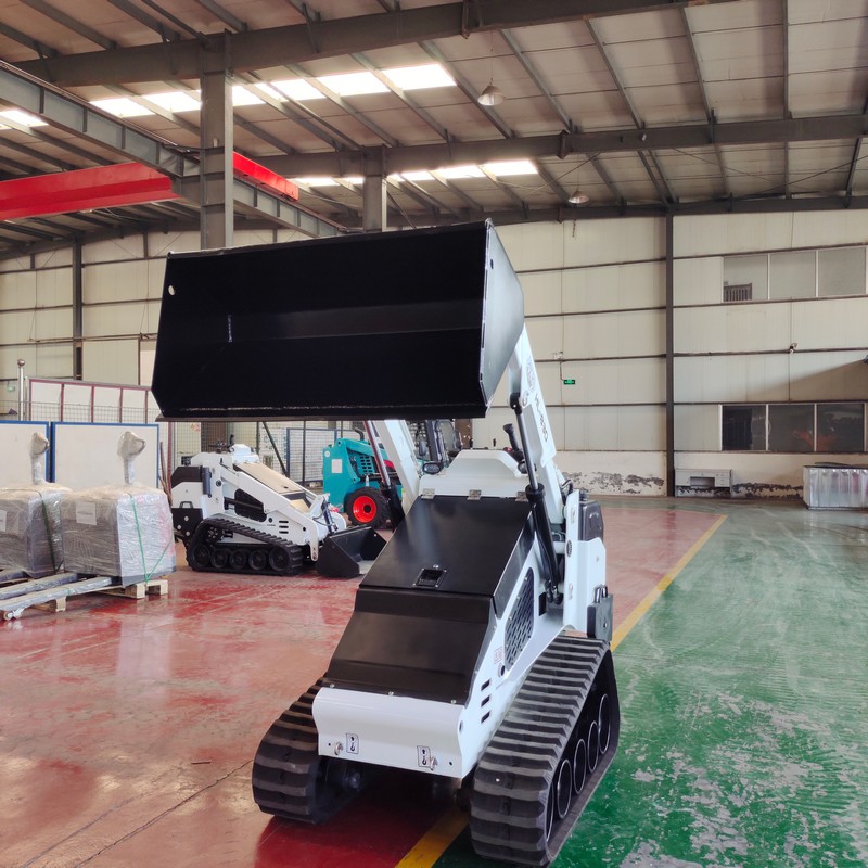 Skid Steer Loader Beroda