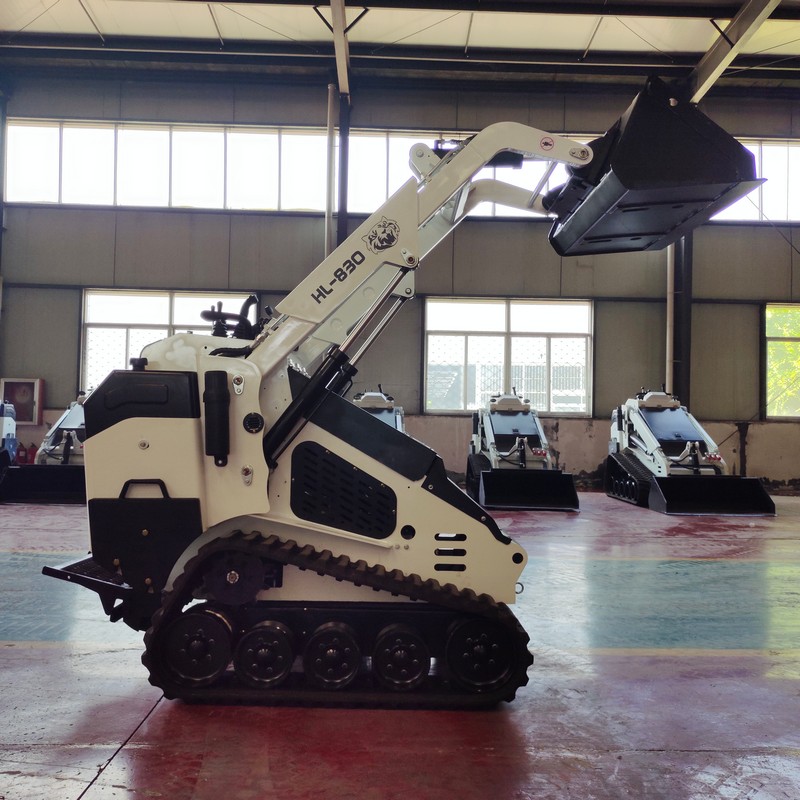 Skid Steer Loader Beroda